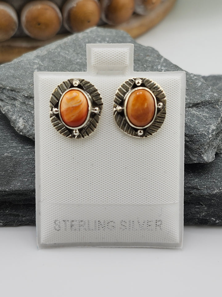 Spiny Oyster PostBack Earrings