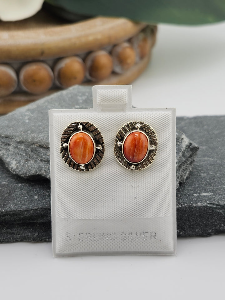 Spiny Oyster PostBack Earrings