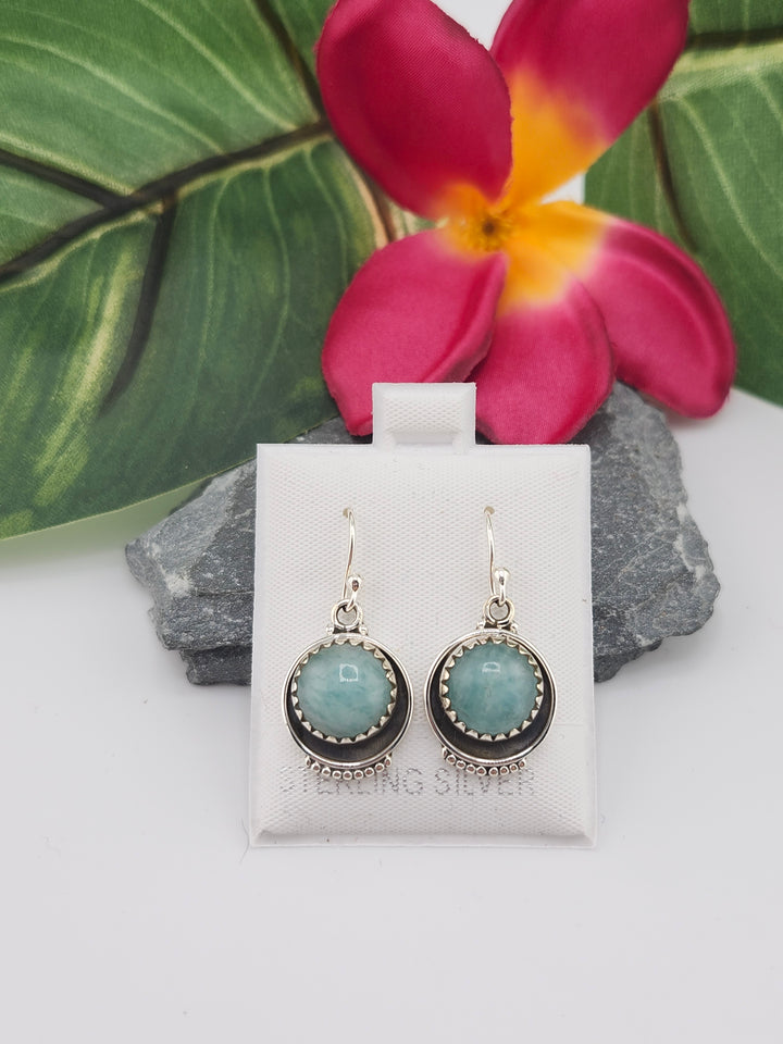 Amazonite Round Dangle Earrings